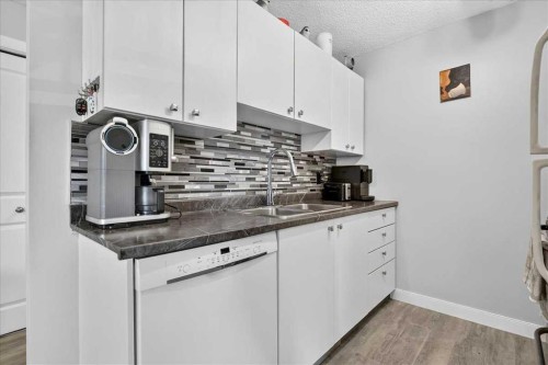 5308A-604 8 Street Sw, Airdrie, AB - Indoor Photo Showing Kitchen With Double Sink