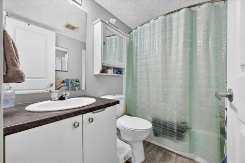 5308A-604 8 Street Sw, Airdrie, AB - Indoor Photo Showing Bathroom
