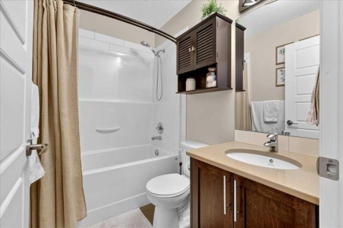 2003-280 Williamstown Close Nw, Airdrie, AB - Indoor Photo Showing Bathroom