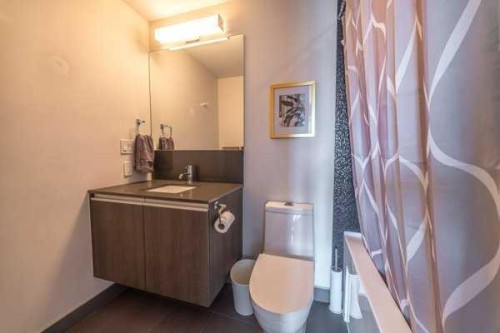 2407-1188 3Rd Street Se, Calgary, AB - Indoor Photo Showing Bathroom