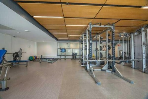 2407-1188 3Rd Street Se, Calgary, AB - Indoor Photo Showing Gym Room