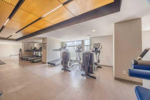 2407-1188 3Rd Street Se, Calgary, AB - Indoor Photo Showing Gym Room