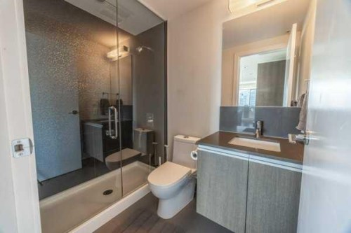 2407-1188 3Rd Street Se, Calgary, AB - Indoor Photo Showing Bathroom