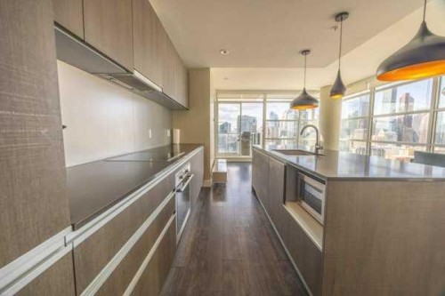 2407-1188 3Rd Street Se, Calgary, AB - Indoor Photo Showing Kitchen With Upgraded Kitchen