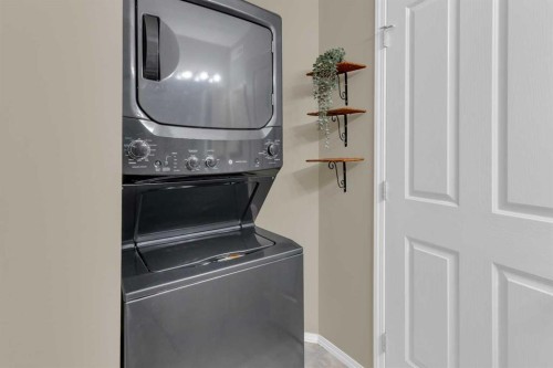 411-140 Sagewood Boulevard Sw, Airdrie, AB - Indoor Photo Showing Laundry Room