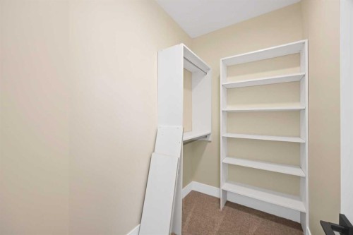 506 Waterford Rise, Chestermere, AB - Indoor With Storage