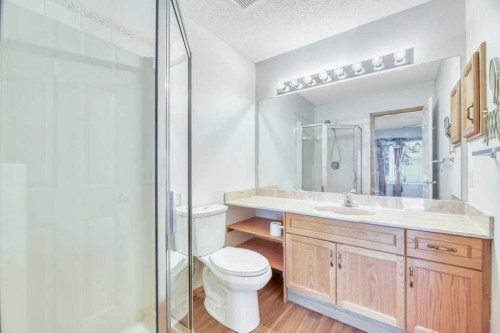 33 Riverview Point Se, Calgary, AB - Indoor Photo Showing Bathroom