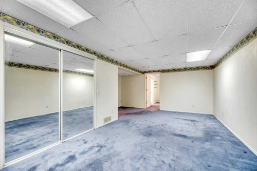 33 Riverview Point Se, Calgary, AB - Indoor Photo Showing Basement