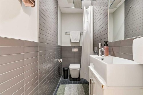 210-1521 26 Avenue Sw, Calgary, AB - Indoor Photo Showing Bathroom