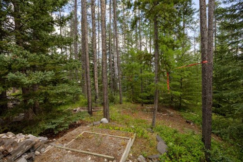 1064 Evergreen Circle, Canmore, AB - Outdoor
