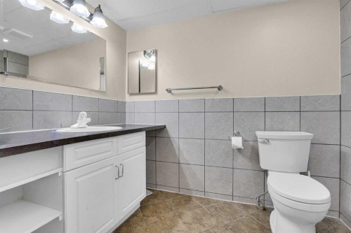 6 Jensen Crescent Ne, Airdrie, AB - Indoor Photo Showing Bathroom