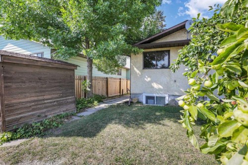6 Jensen Crescent Ne, Airdrie, AB - Outdoor