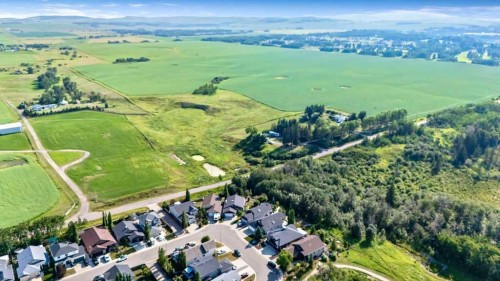 259 Willow Ridge Manor, Diamond Valley, AB - Outdoor With View