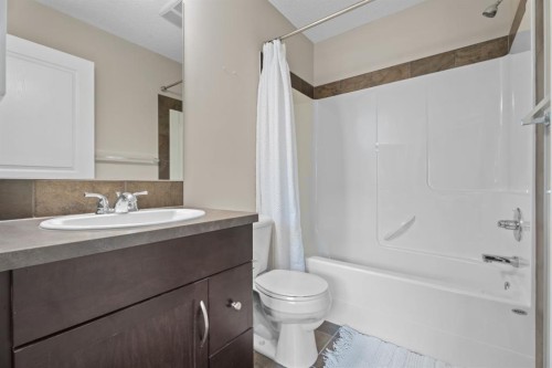 205 New Brighton Villas Se, Calgary, AB - Indoor Photo Showing Bathroom