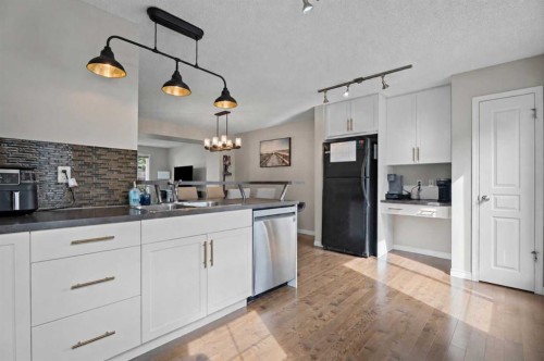 205 New Brighton Villas Se, Calgary, AB - Indoor Photo Showing Kitchen With Double Sink