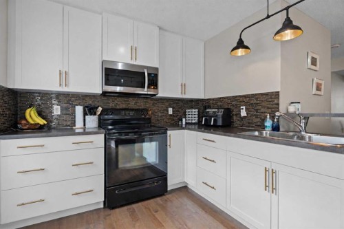 205 New Brighton Villas Se, Calgary, AB - Indoor Photo Showing Kitchen With Double Sink