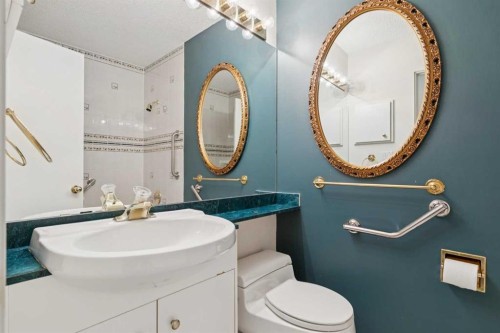 567 Parkridge Drive Se, Calgary, AB - Indoor Photo Showing Bathroom