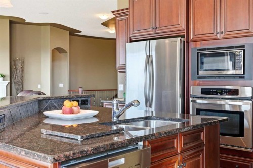 87 Royal Ridge Terrace Nw, Calgary, AB - Indoor Photo Showing Kitchen With Double Sink