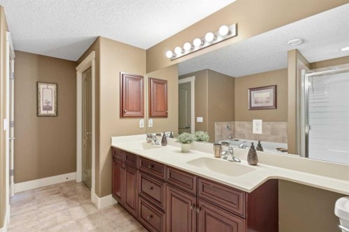87 Royal Ridge Terrace Nw, Calgary, AB - Indoor Photo Showing Bathroom