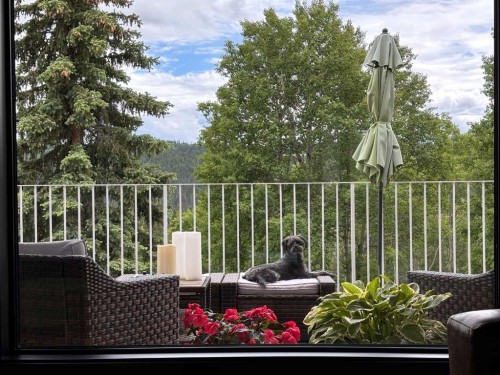 38 Sunrise Way, Priddis Greens, AB - Outdoor