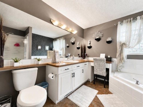 42 Inverness View Se, Calgary, AB - Indoor Photo Showing Bathroom