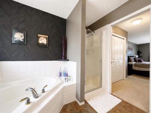 42 Inverness View Se, Calgary, AB - Indoor Photo Showing Bathroom