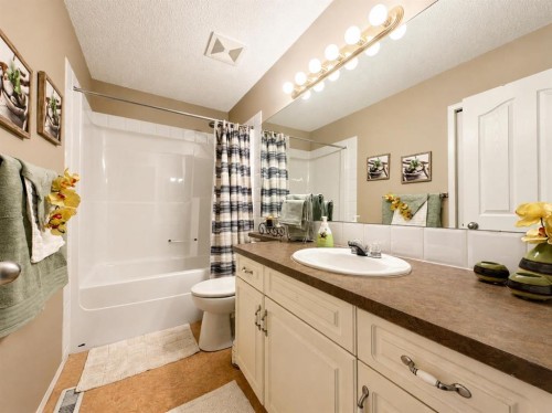 42 Inverness View Se, Calgary, AB - Indoor Photo Showing Bathroom