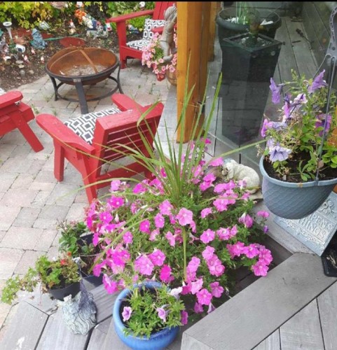 42 Inverness View Se, Calgary, AB - Outdoor With Deck Patio Veranda