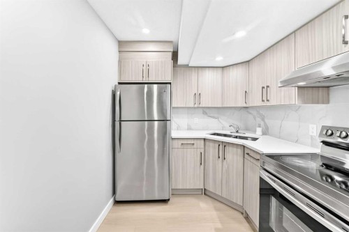 29 Redstone Manor, Calgary, AB - Indoor Photo Showing Kitchen With Double Sink