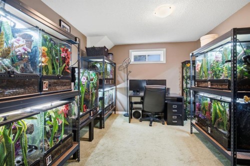 3220 14 Street Nw, Calgary, AB - Indoor