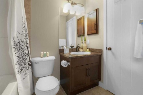 460 Seclusion Valley Drive, Diamond Valley, AB - Indoor Photo Showing Bathroom