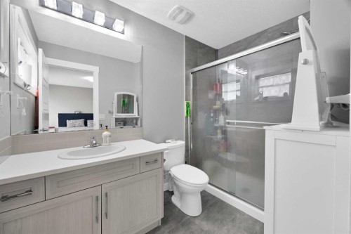 109 Skyview Parade Ne, Calgary, AB - Indoor Photo Showing Bathroom
