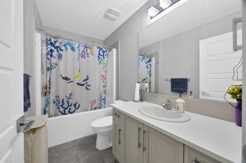 109 Skyview Parade Ne, Calgary, AB - Indoor Photo Showing Bathroom