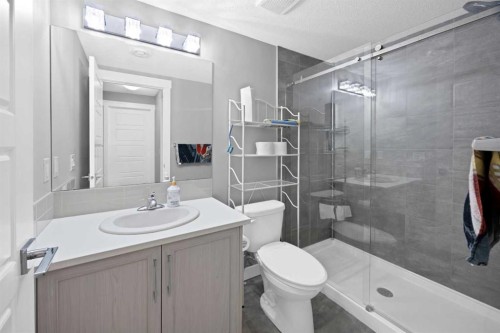 109 Skyview Parade Ne, Calgary, AB - Indoor Photo Showing Bathroom