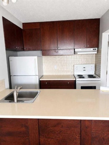 2712-221 6 Avenue Se, Calgary, AB - Indoor Photo Showing Kitchen With Double Sink