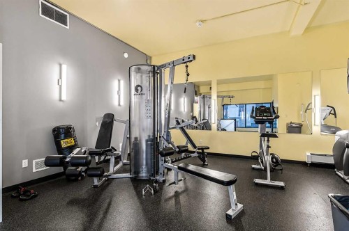 2712-221 6 Avenue Se, Calgary, AB - Indoor Photo Showing Gym Room