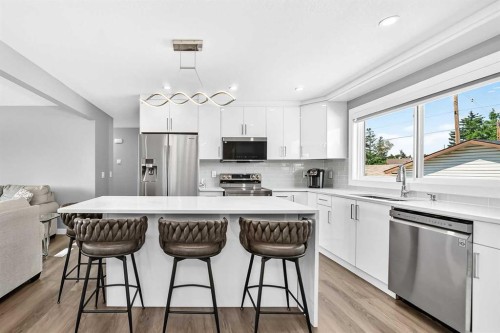 4932 Rundlehorn Drive Ne, Calgary, AB - Indoor Photo Showing Kitchen