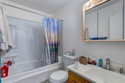 202 Olympia Drive Se, Calgary, AB - Indoor Photo Showing Bathroom
