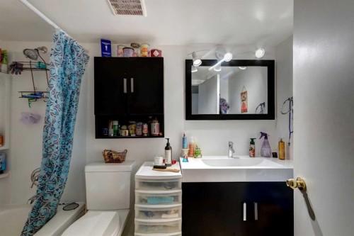 202 Olympia Drive Se, Calgary, AB - Indoor Photo Showing Bathroom