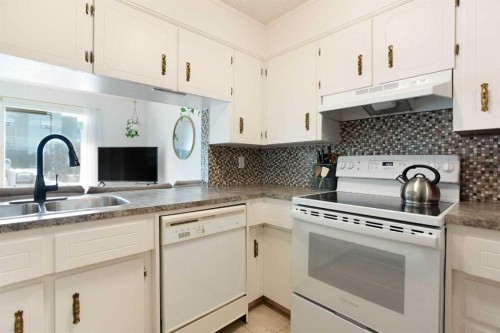 235 Templemont Drive Ne, Calgary, AB - Indoor Photo Showing Kitchen With Double Sink