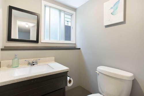 235 Templemont Drive Ne, Calgary, AB - Indoor Photo Showing Bathroom