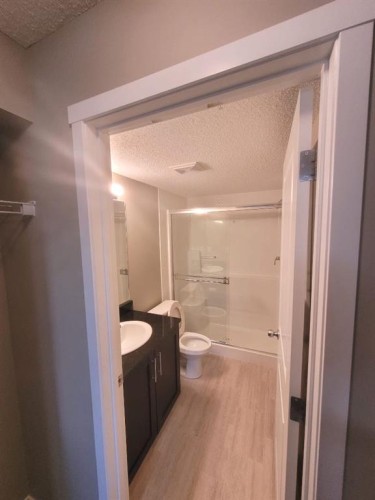 2238-81 Legacy Boulevard Se, Calgary, AB - Indoor Photo Showing Bathroom