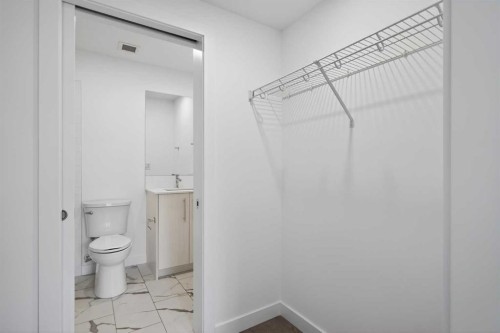 3201-6 Merganser Drive West, Chestermere, AB - Indoor Photo Showing Bathroom