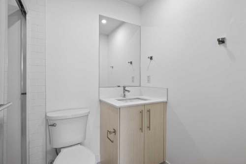 3201-6 Merganser Drive West, Chestermere, AB - Indoor Photo Showing Bathroom