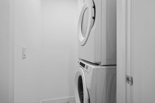 3201-6 Merganser Drive West, Chestermere, AB - Indoor Photo Showing Laundry Room