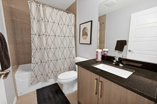 3306 2 Street Ne, Calgary, AB - Indoor Photo Showing Bathroom