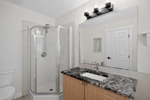 340 Copperfield Boulevard Se, Calgary, AB - Indoor Photo Showing Bathroom
