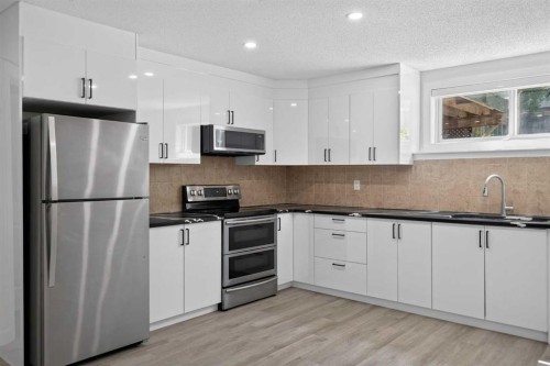 340 Copperfield Boulevard Se, Calgary, AB - Indoor Photo Showing Kitchen With Upgraded Kitchen