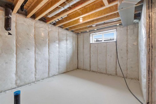 37 Rosemary Gardens Se, Calgary, AB - Indoor Photo Showing Basement
