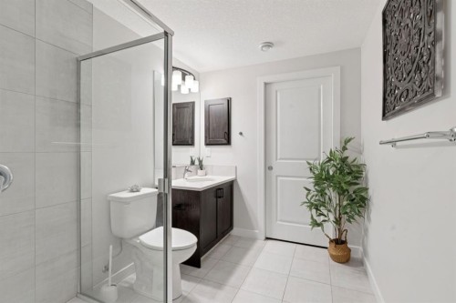 206 Riviera View, Cochrane, AB - Indoor Photo Showing Bathroom